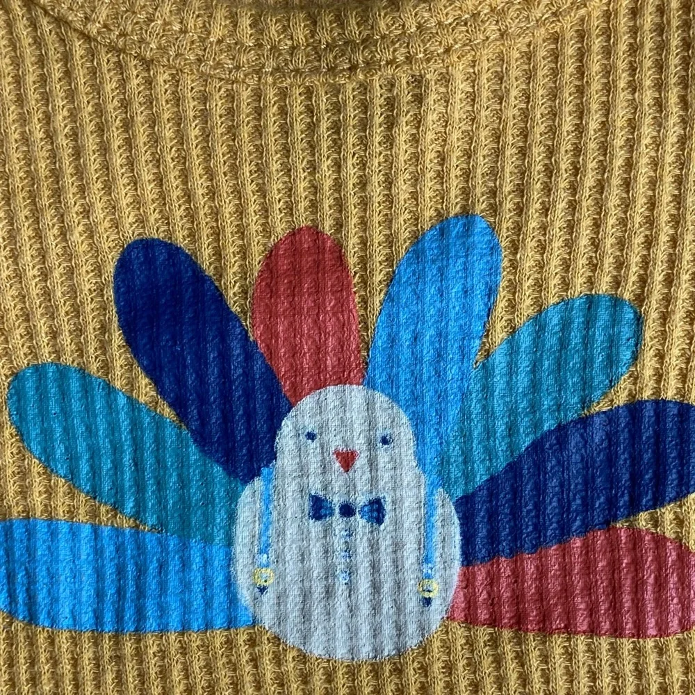 Thanksgiving Shirt Size 6 9 Months Chick Pea One Piece Thankful Little Turkey